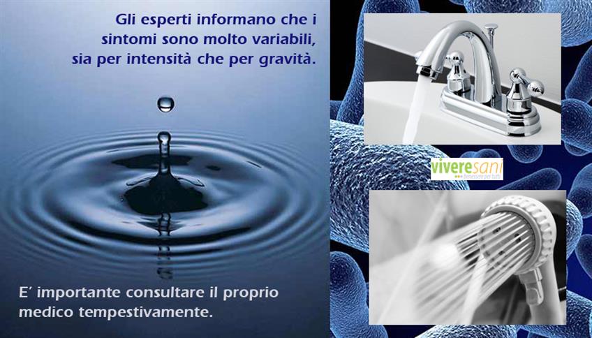 Legionella Pneumophila, un'insidia proveniente dall'acqua Legionella Pneumophila, un'insidia proveniente dall'acqua